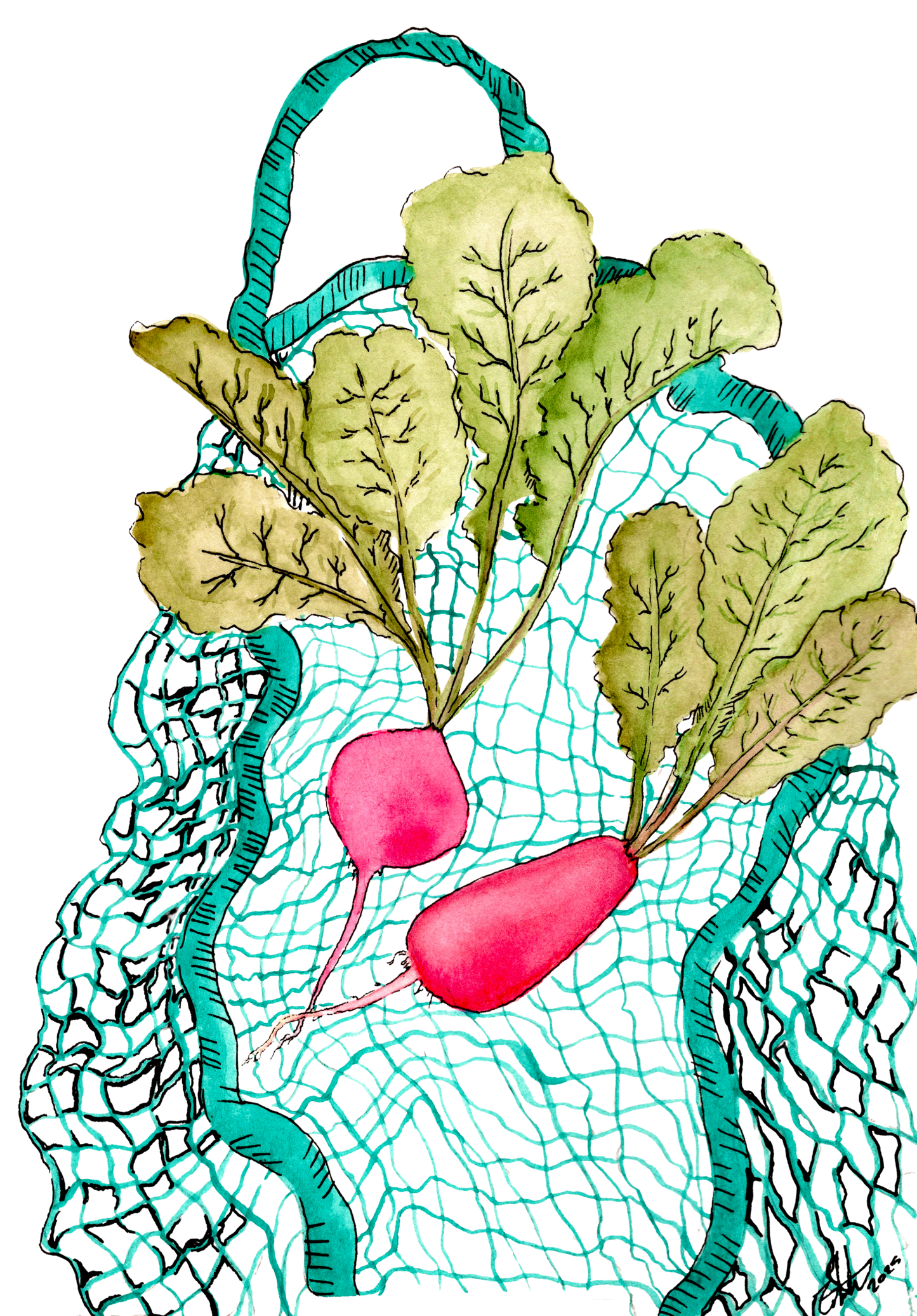 “Radish Season”