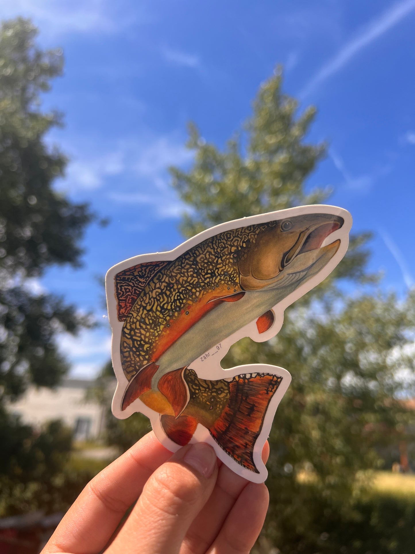 Brook Trout Sticker