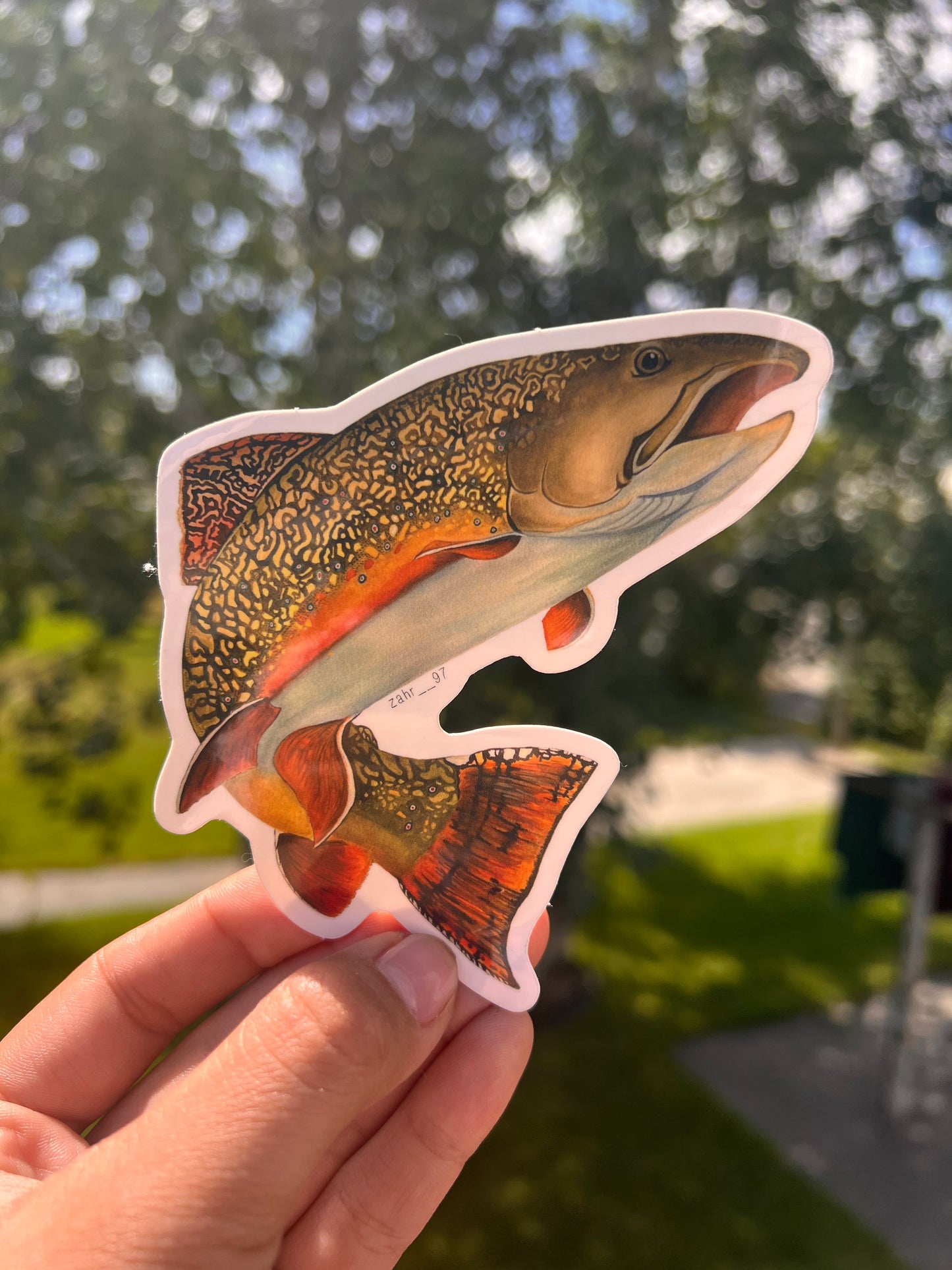 Brook Trout Sticker