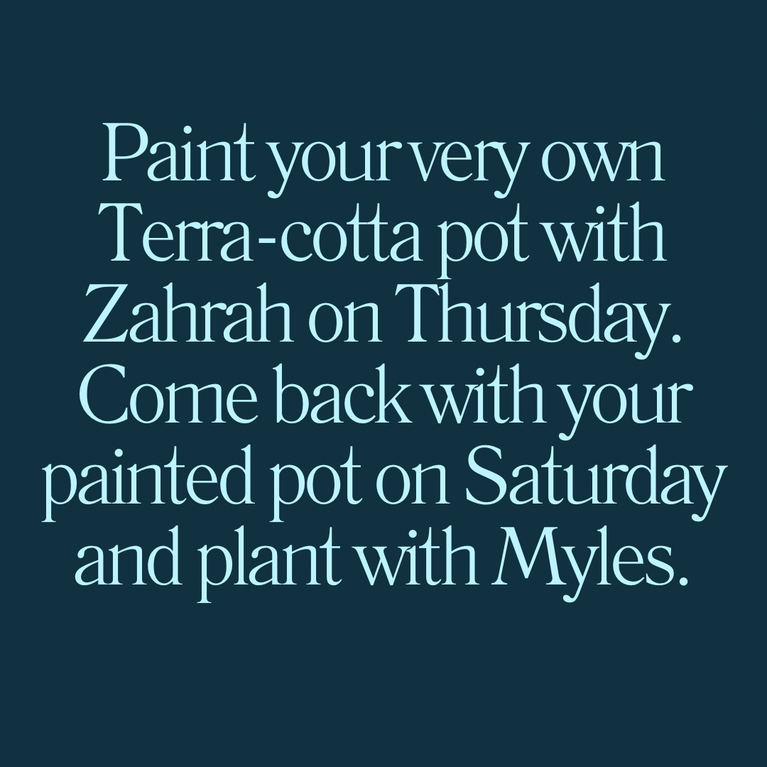 Paint, Plant, and Sip