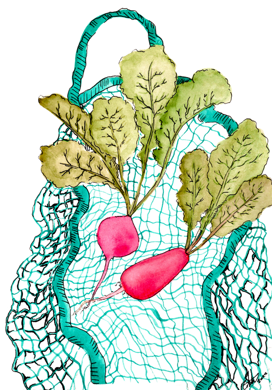 “Radish Season”